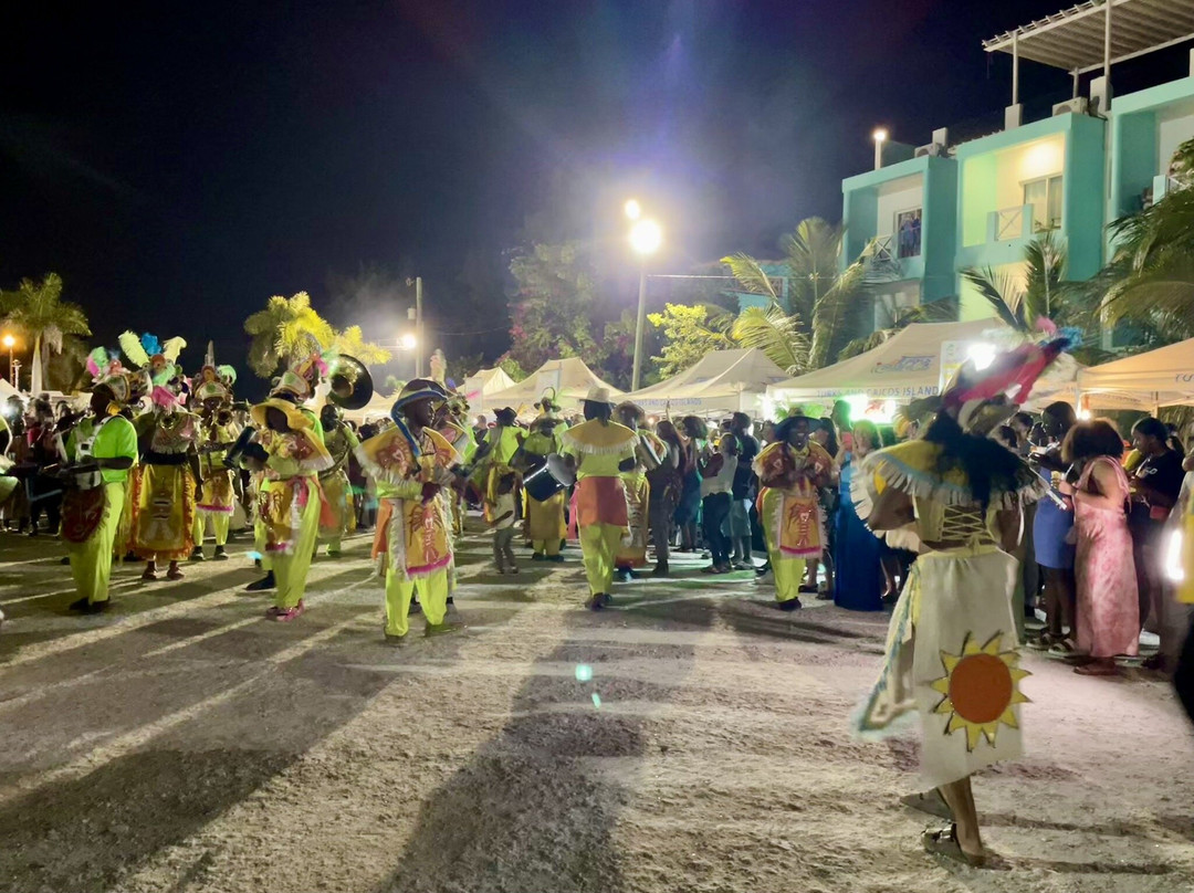 Island Fish Fry-普罗维登西亚莱斯必去景点