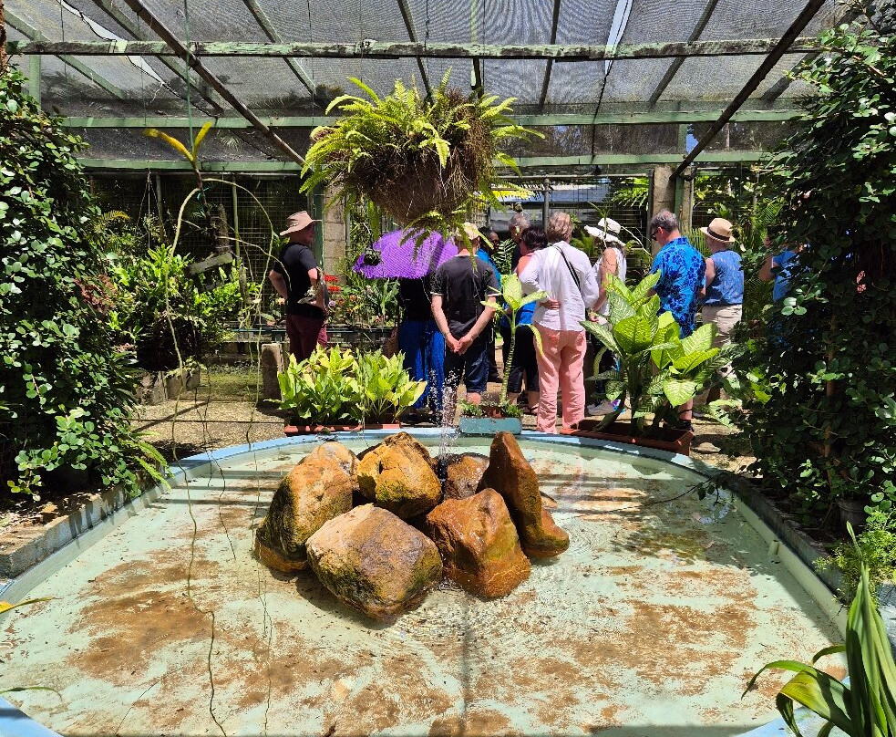 Tropical Garden Barbados-Saint George Parish必去景点