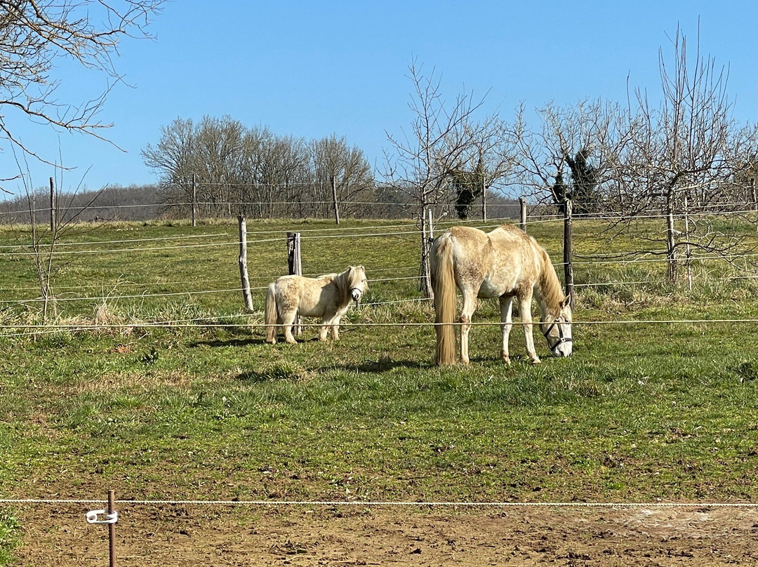Centre Equestre Du Passe-Temps主图