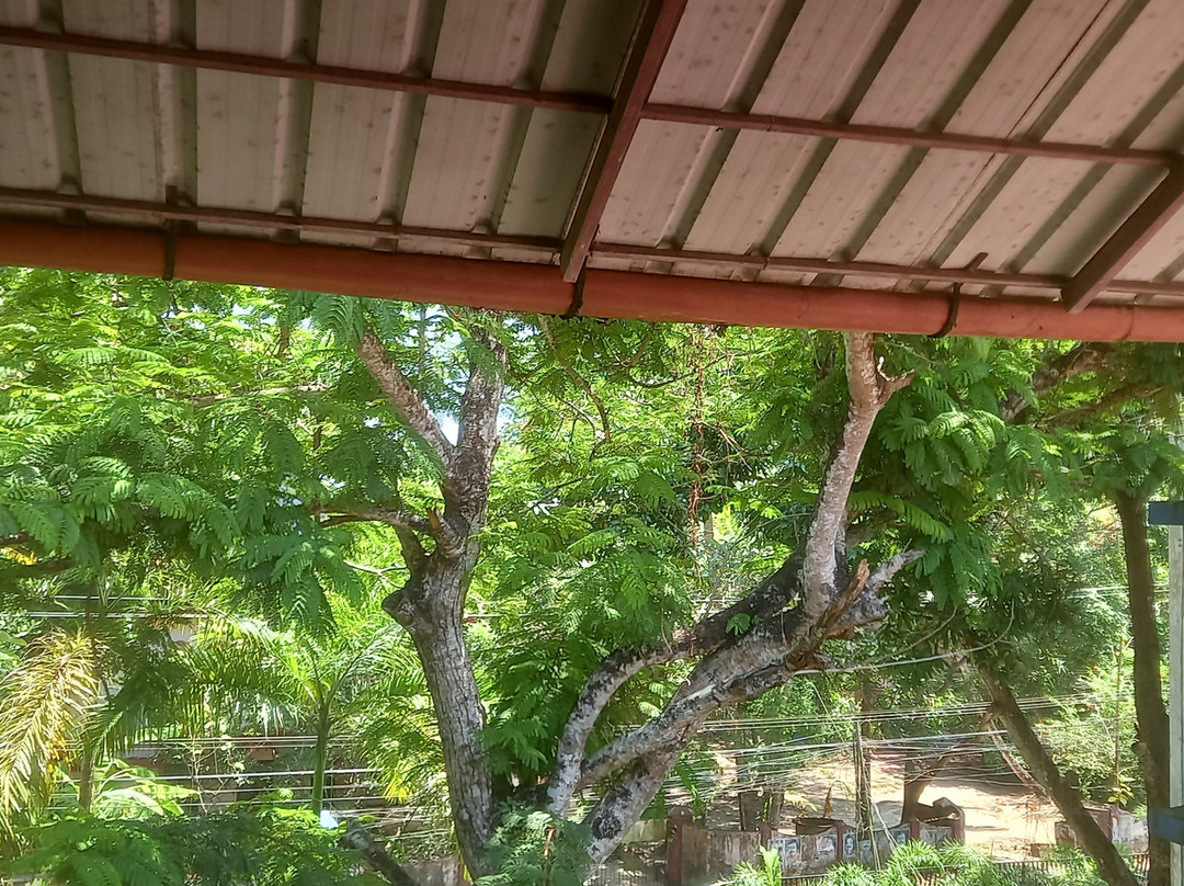 Matt India Ayurveda Centre-阿拉普扎必去景点