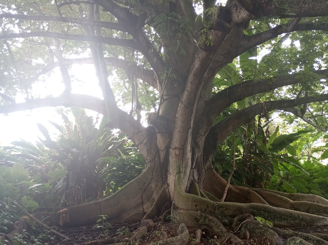 Castro Alves Historic Park-Cabaceiras do Paraguacu必去景点