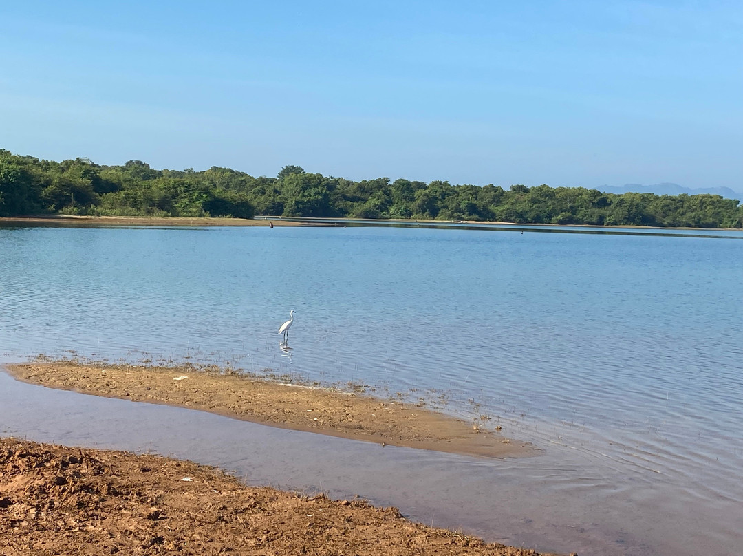 Green View Safari Resort主图