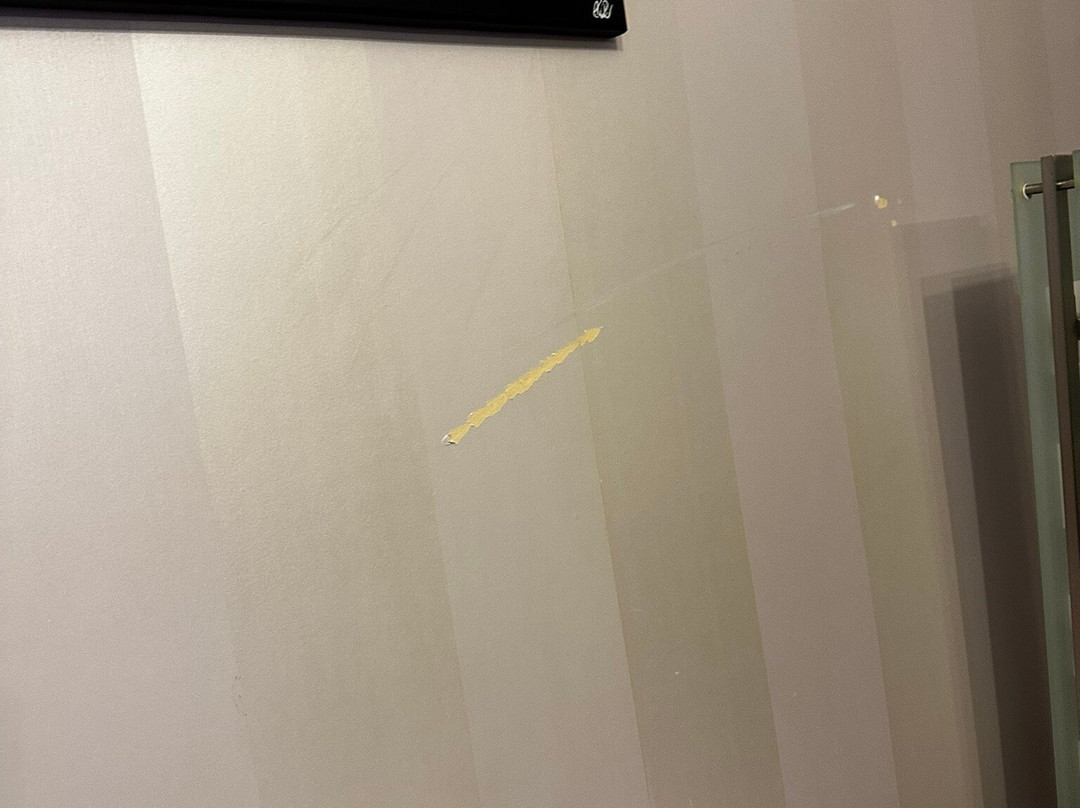 Hôtel de la Cloche主图