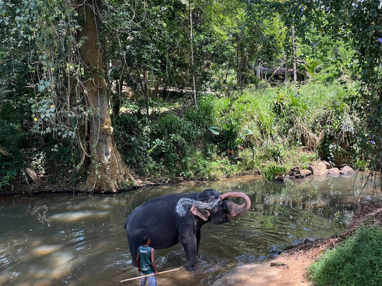 Lankawings Holidays-科伦坡必去景点