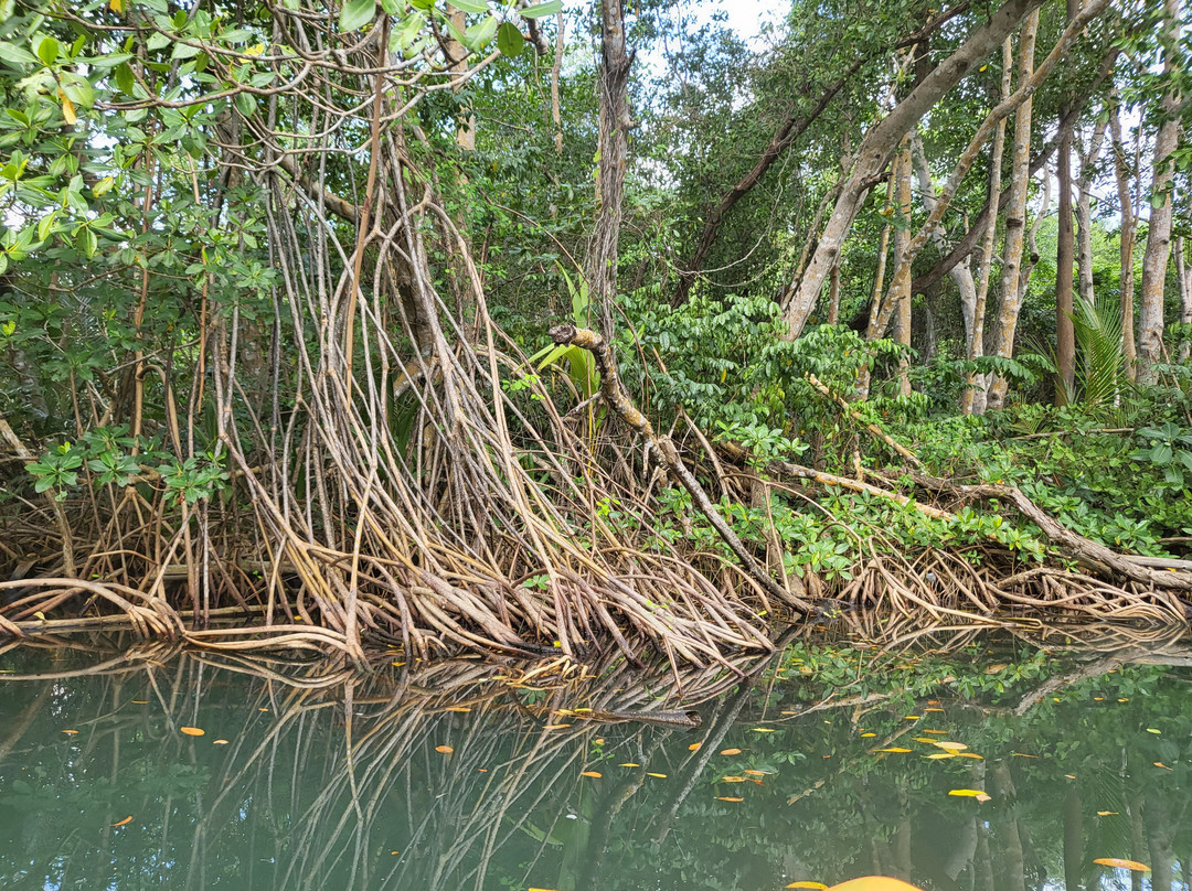 Gwada Gonflé-Petit-Bourg必去景点