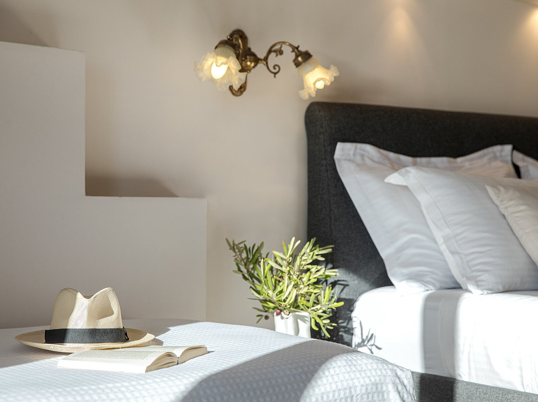 Aneroussa Beach Hotel主图