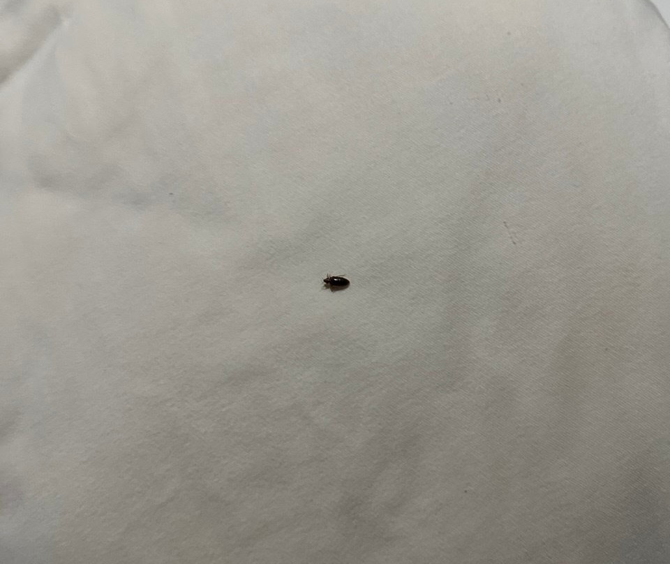 大象海湾酒店主图