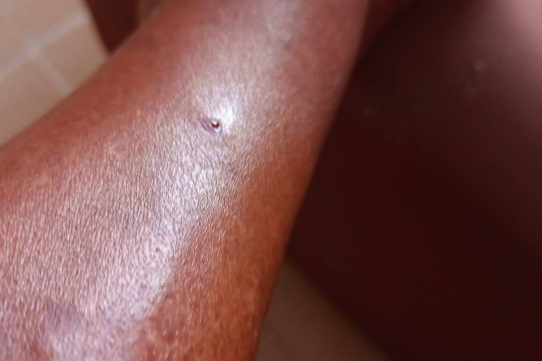 Fazenda Pratinha-Iraquara必去景点