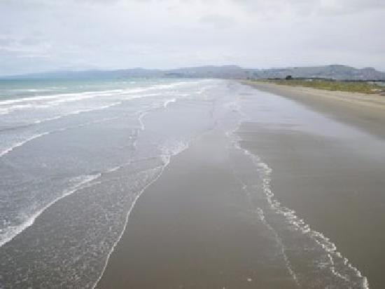 Brighton by the Beach主图