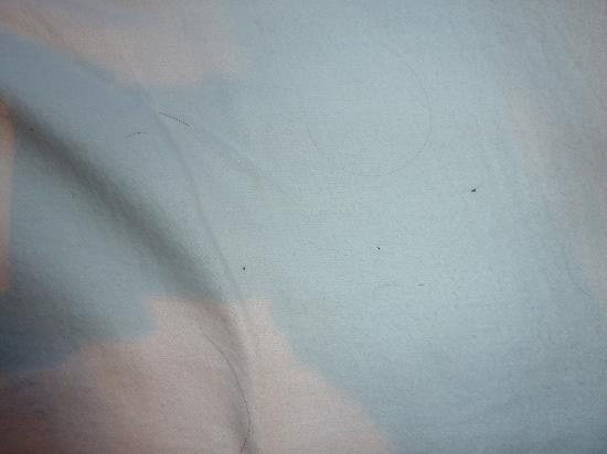 Hotel de la Poste主图