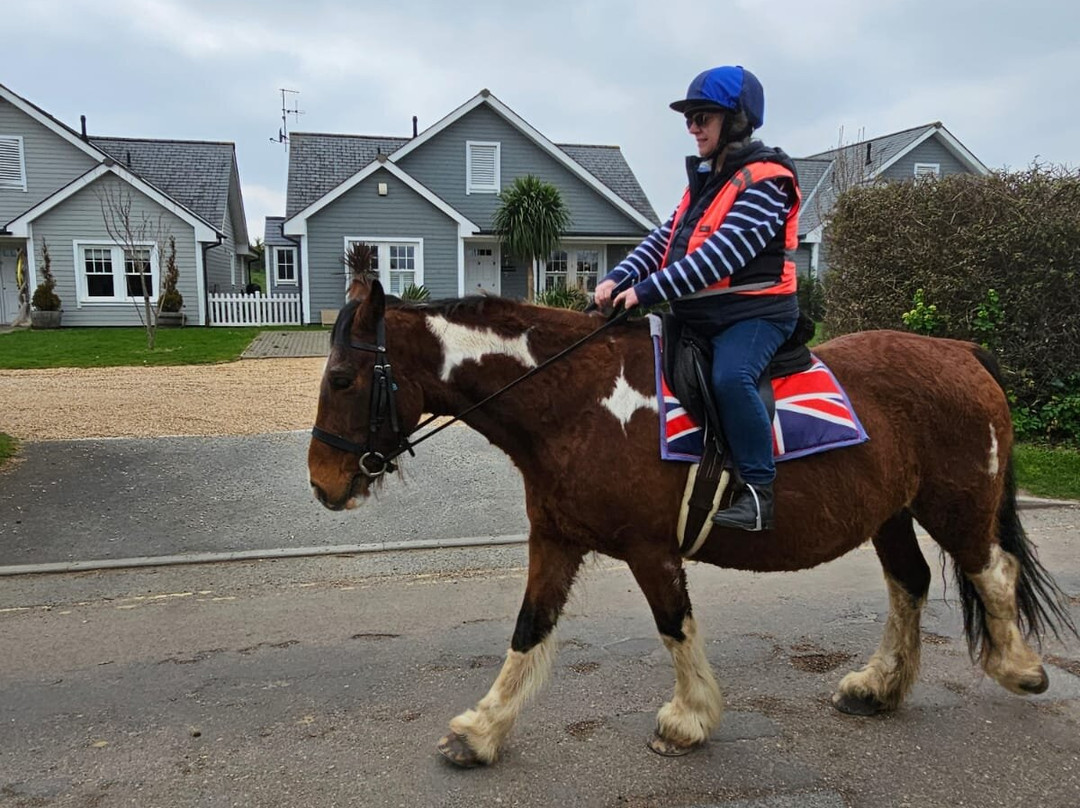 Sally's Riding School-St Helens必去景点