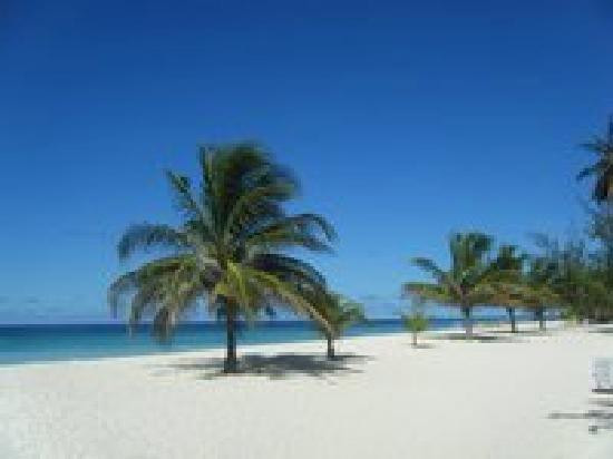 The Pebble Guesthouse主图