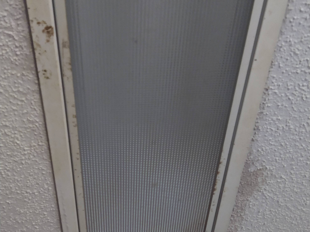 Baymont by Wyndham Prattville主图