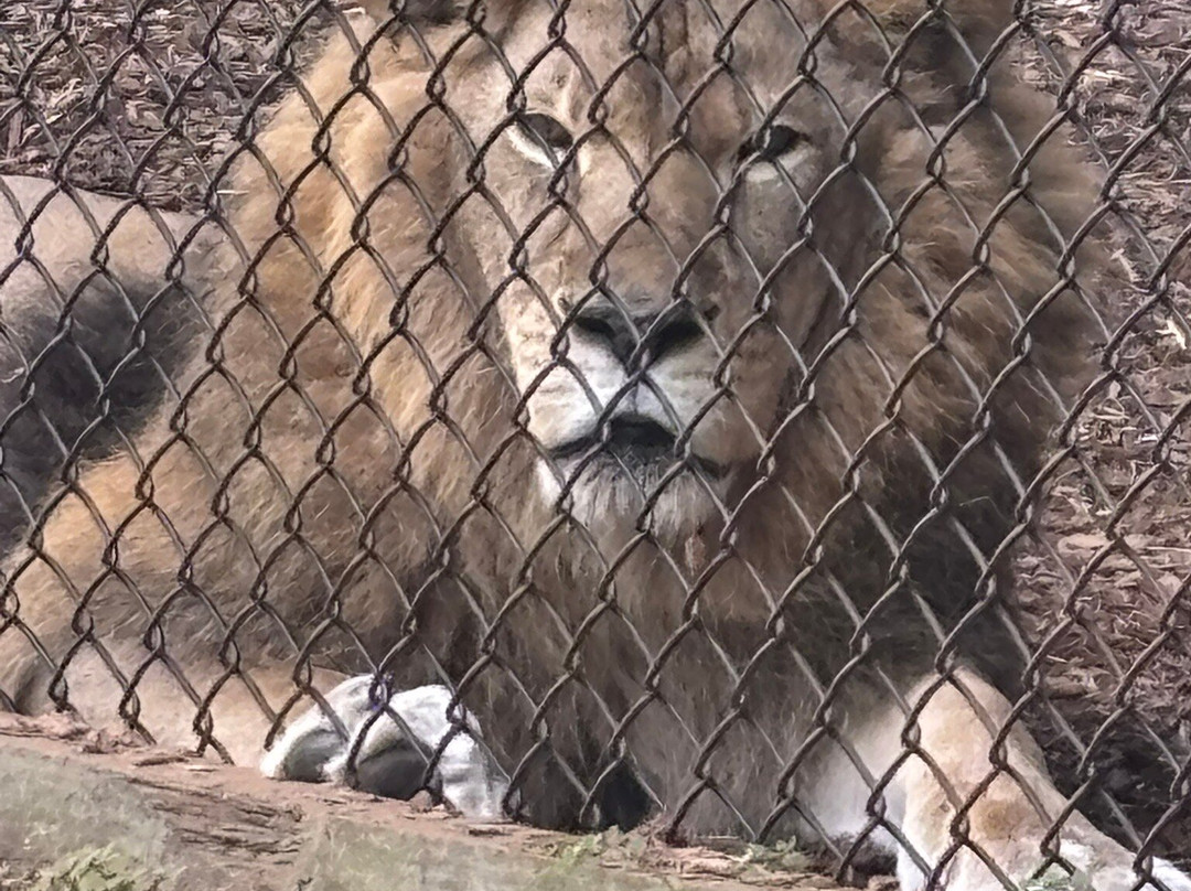Central Florida Animal Reserve-圣克劳德必去景点