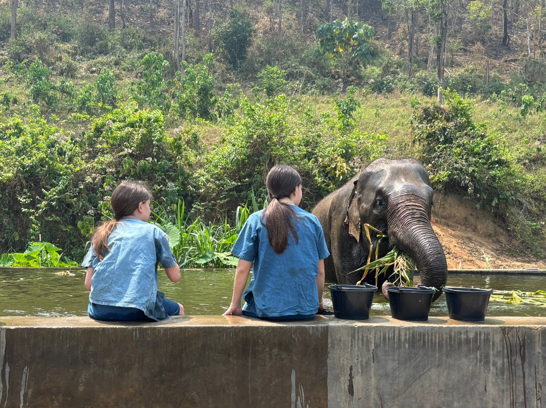 Lanna Kingdom Elephant Sanctuary景点图片