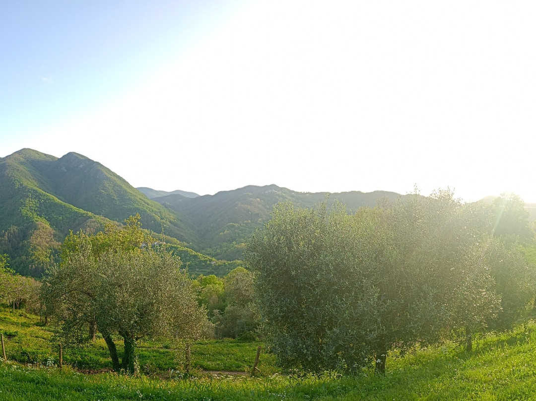 Agriturismo Al Vecchio Tino主图