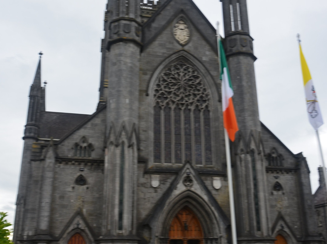 St. Mary's Catholic Cathedral-基尔肯尼必去景点