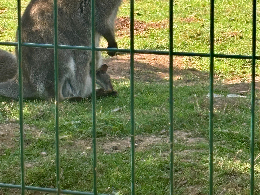 Bird Gardens Scotland Cic-Oxton必去景点