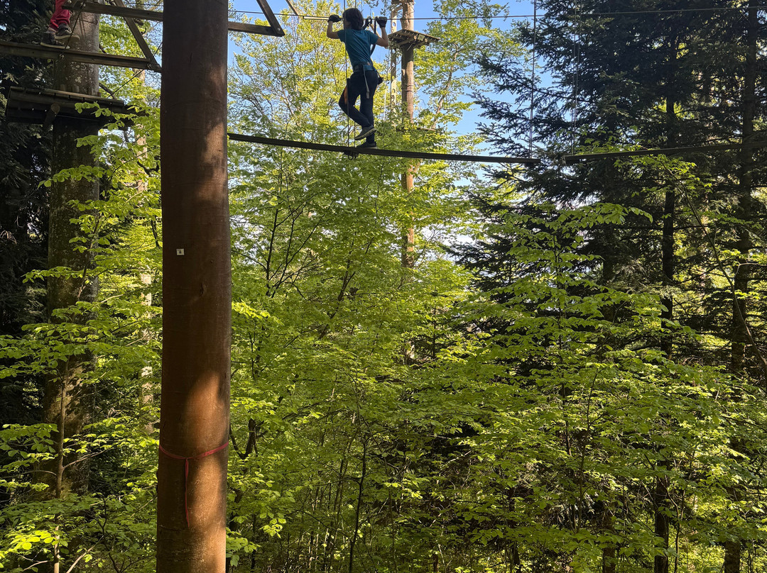 Parc Aventure Chaumont-Chaumont-de-Pury必去景点