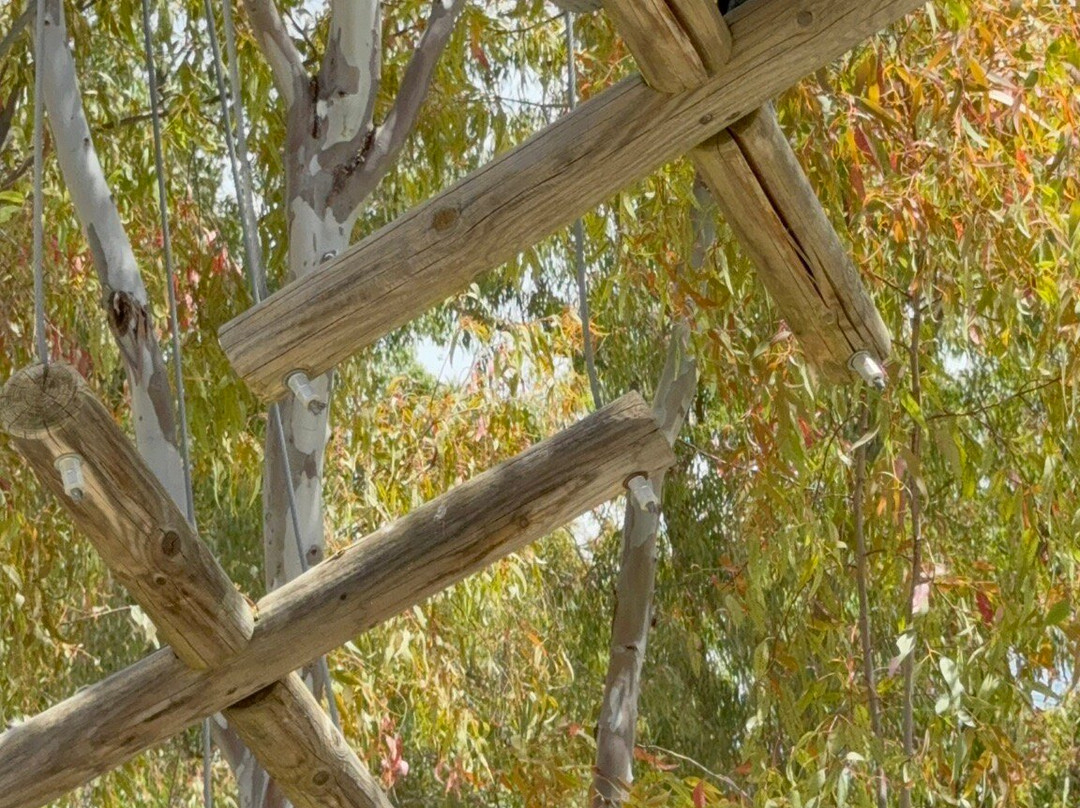 Parco Avventura Il Boschetto景点图片