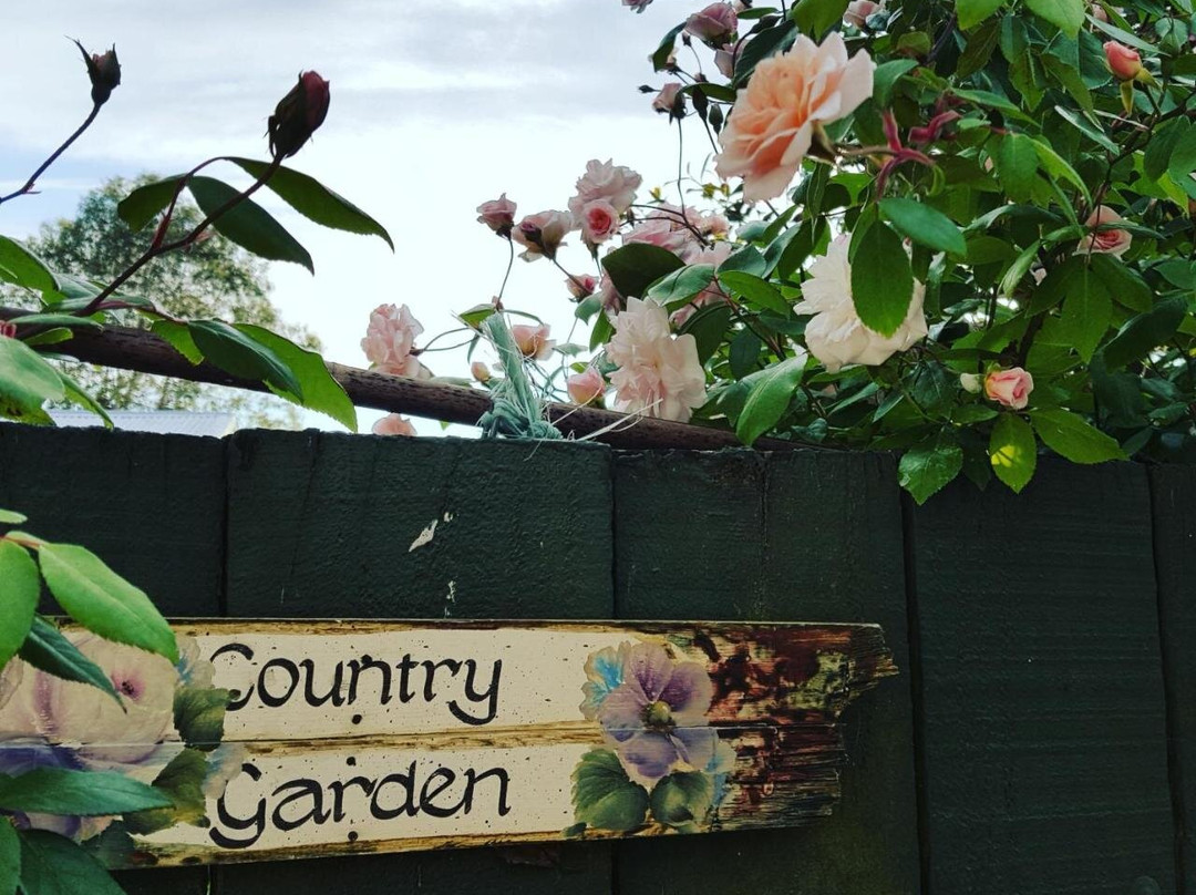 Grovetown酒店住宿-Dragonfly Cottage B&B
