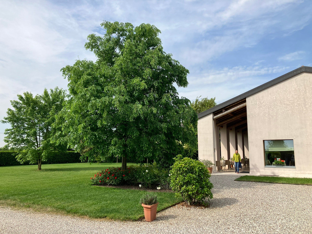 Agriturismo Ca Giulietta主图