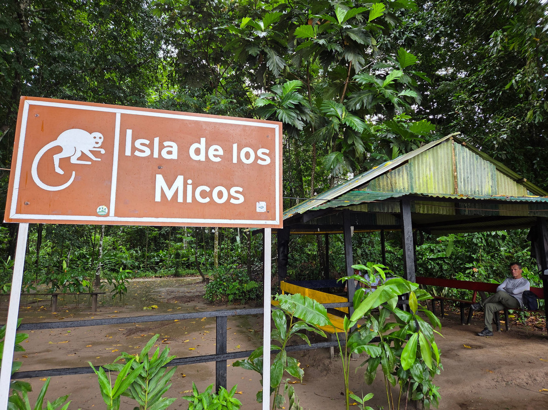 Isla de Los Micos景点图片