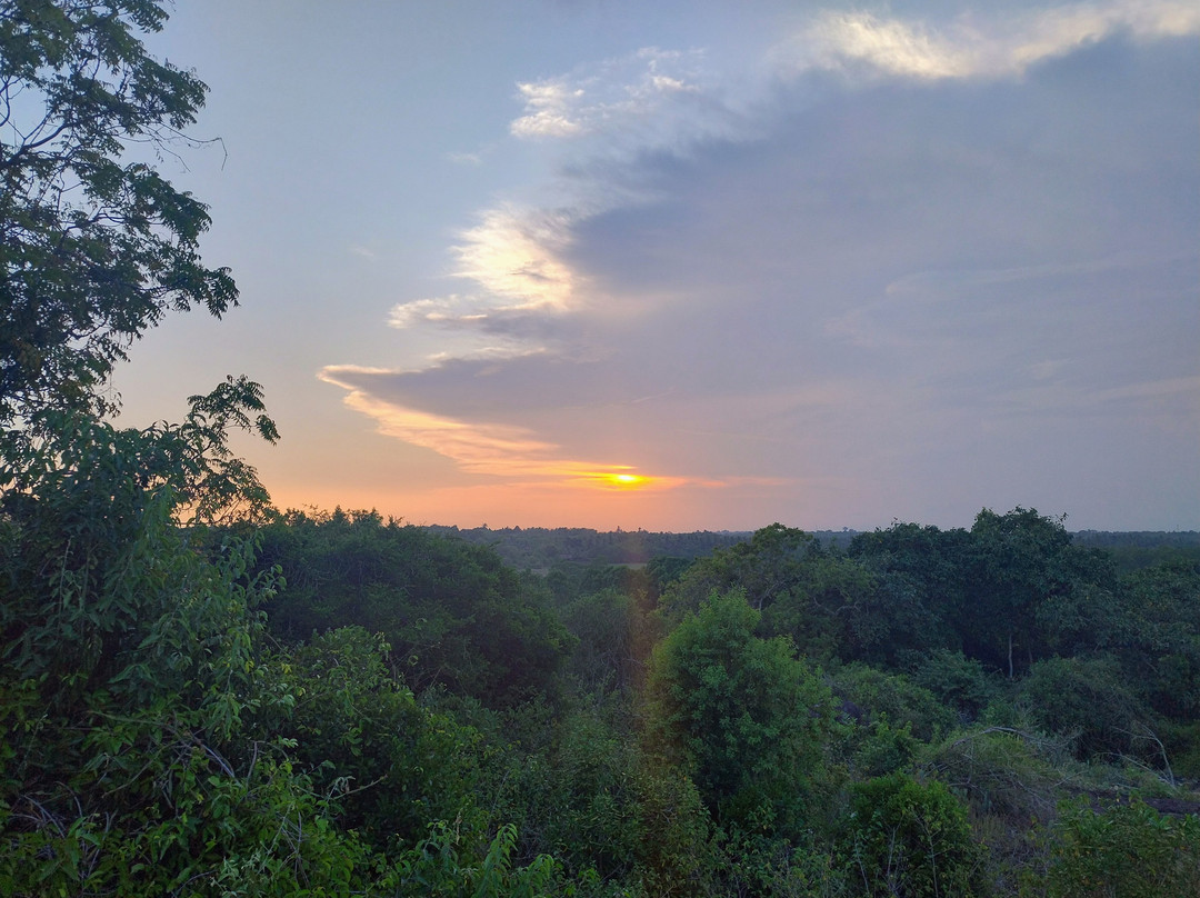 Kalametiya Lagoon Bird Sanctuary & Wetland Park景点图片