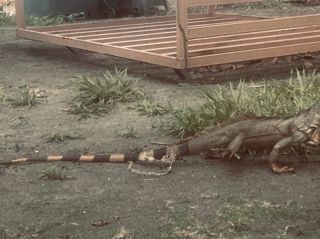 Kalkonu Travel-Ciudad Colon必去景点