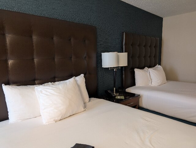 Pear Tree Inn St. Louis Airport主图