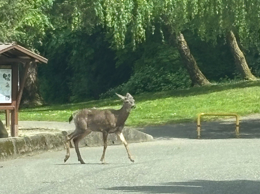 The Rockwell Harrison Guest Lodge B&B主图