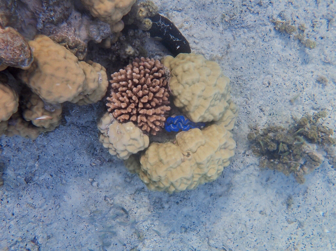 Tahiti Lagoon Paradise-大溪地必去景点