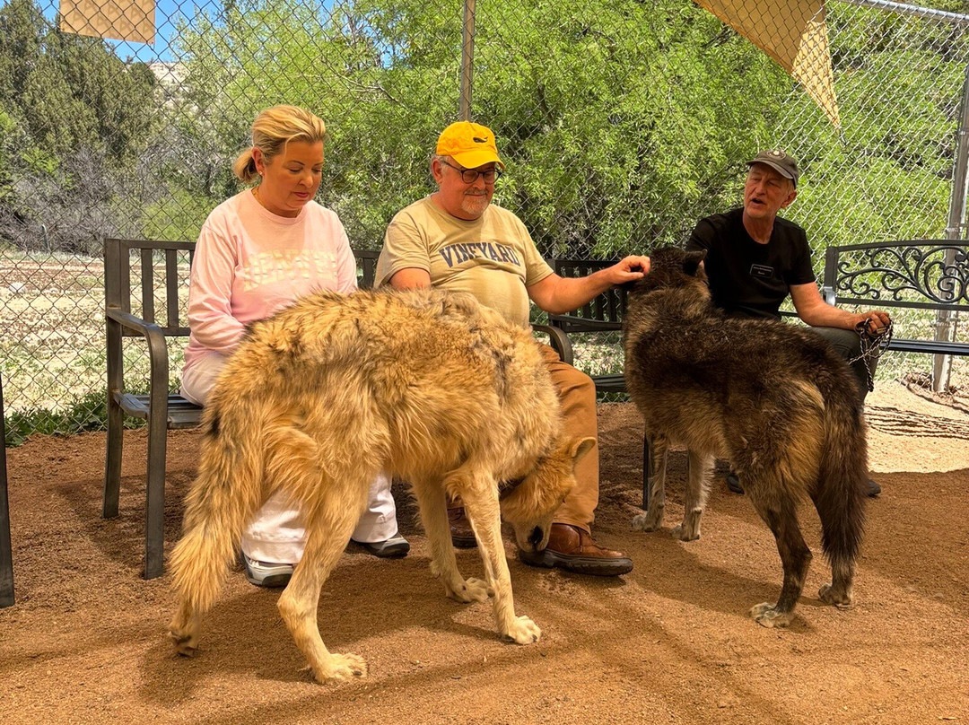 Sedona Wolf Sanctuary-Rimrock必去景点