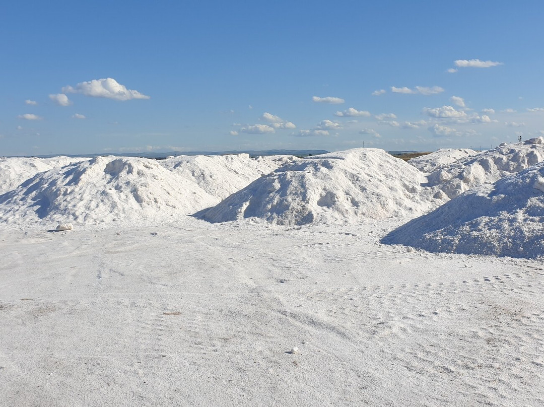 Riserva Naturale di Stato Saline di Margherita di Savoia-Margherita di Savoia必去景点