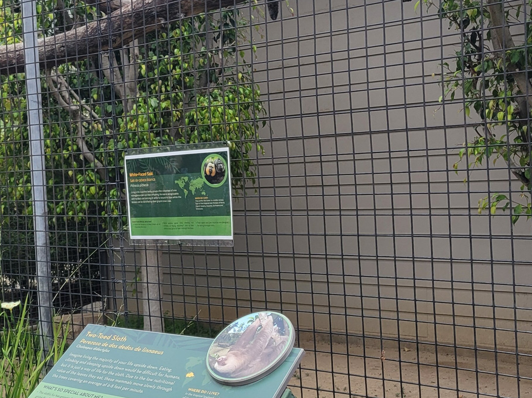 Santa Ana Zoo at Prentice Park-圣安娜必去景点