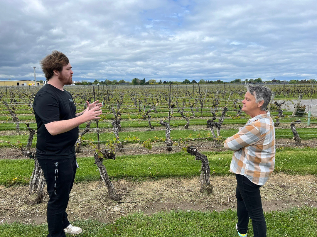 Pillitteri Estates Winery-滨湖尼亚加拉必去景点