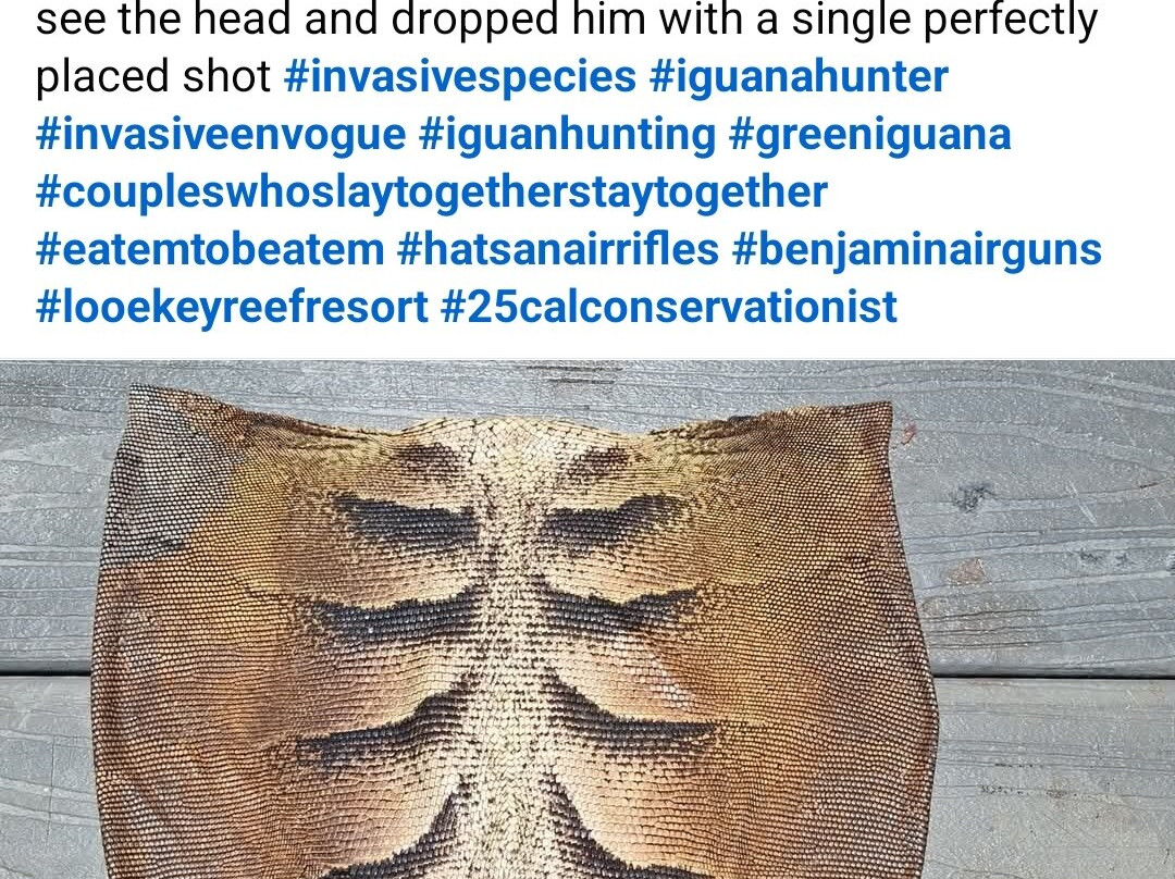 Invasive EnVogue-Ramrod Key必去景点