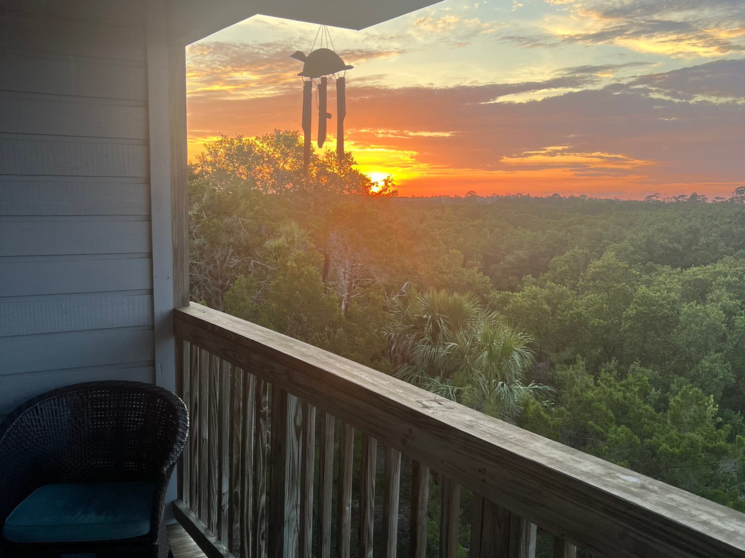 Cedar Key Adventures景点图片