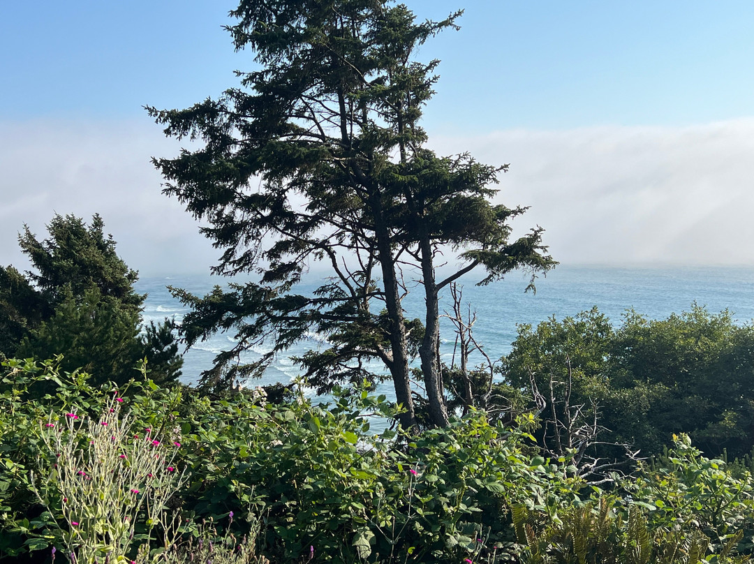 The Awtrey House主图