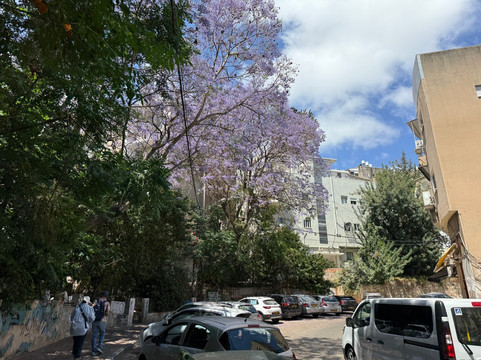 Discover the Holy land-Haifa必去景点