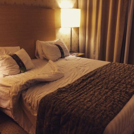 米兰加里波底门车站假日酒店主图