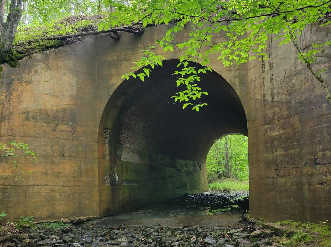 Tunnel Creek Vineyards景点图片
