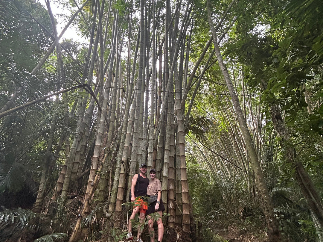 Trekking Candidasa景点图片