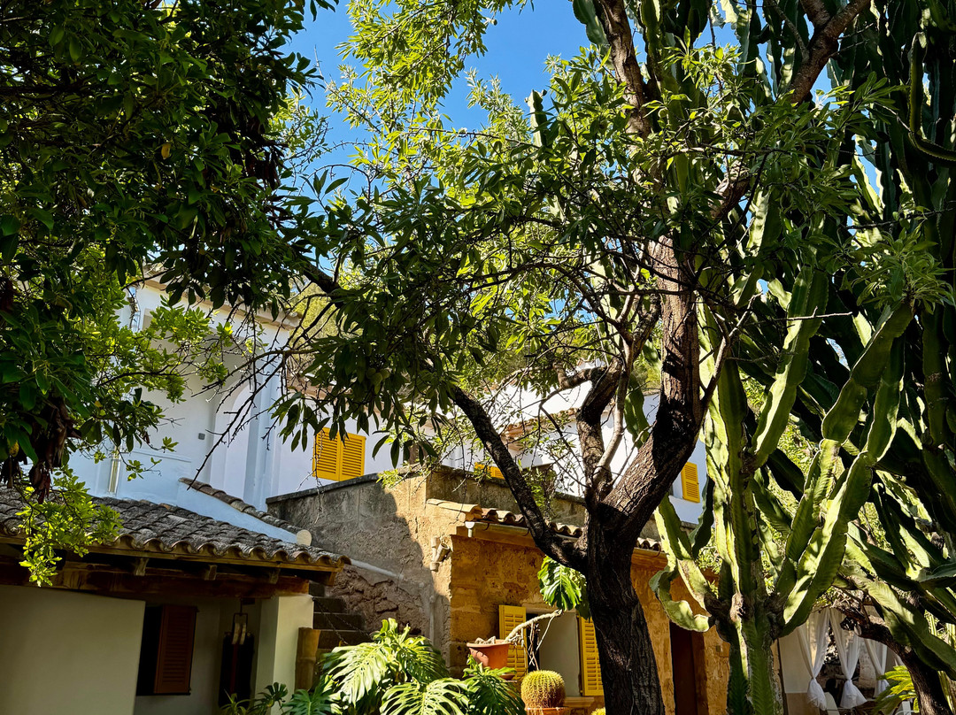 Hostal Residencia Catalina Vera主图