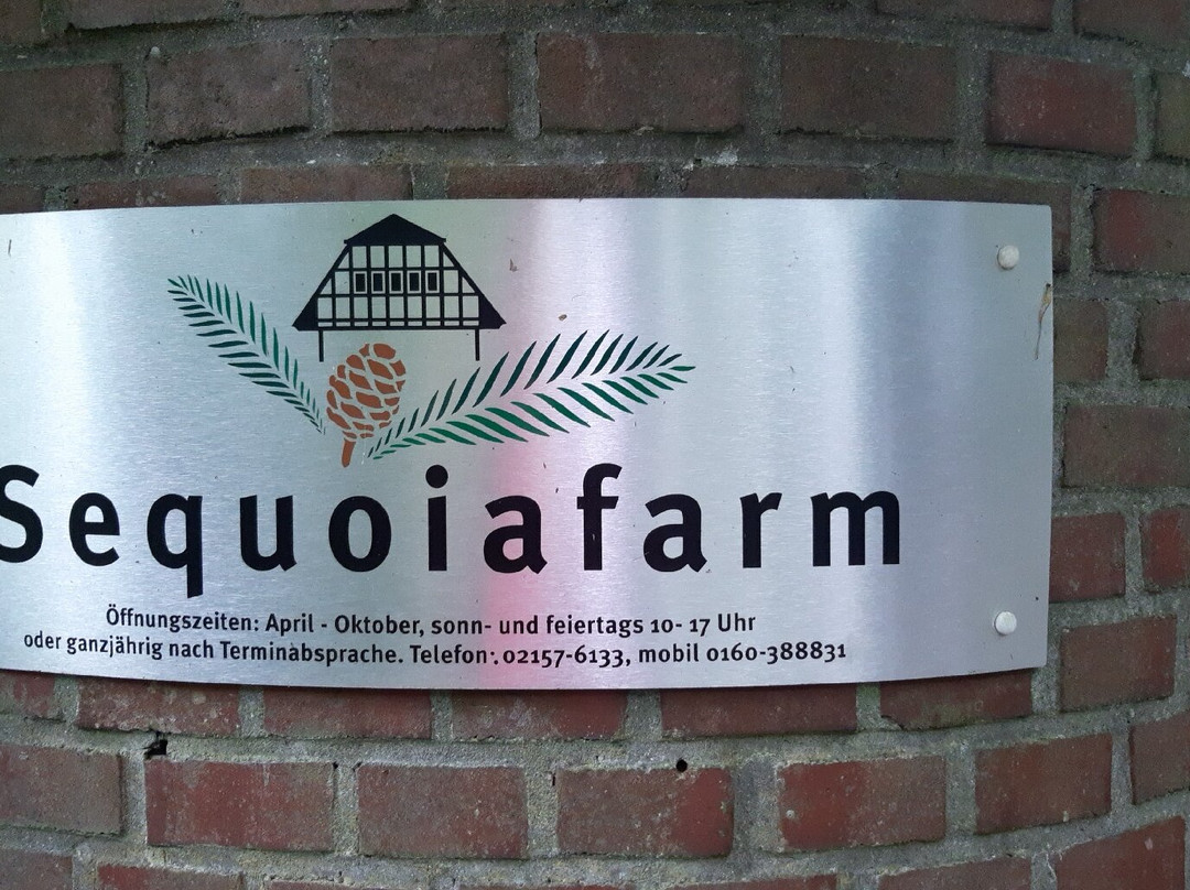 Sequoiafarm景点图片