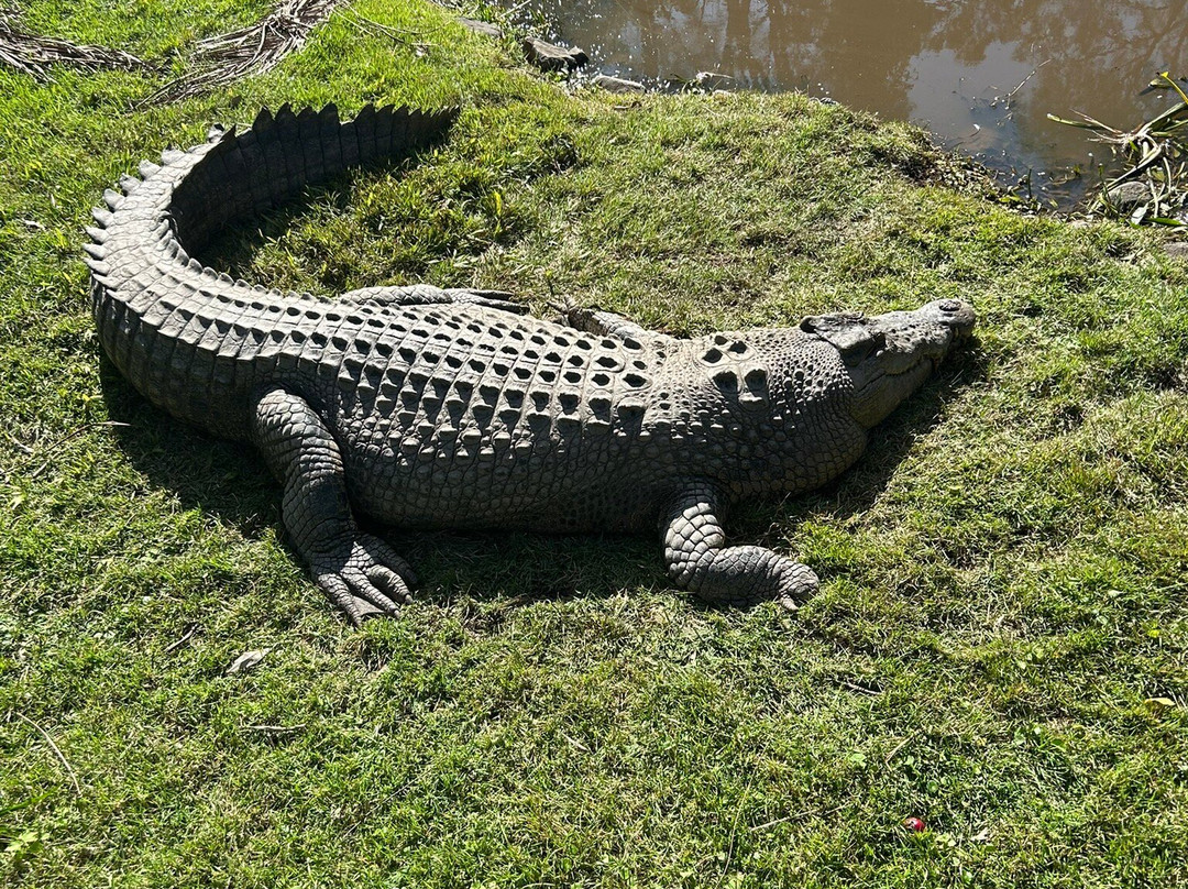 David Fleay Wildlife Park-West Burleigh必去景点