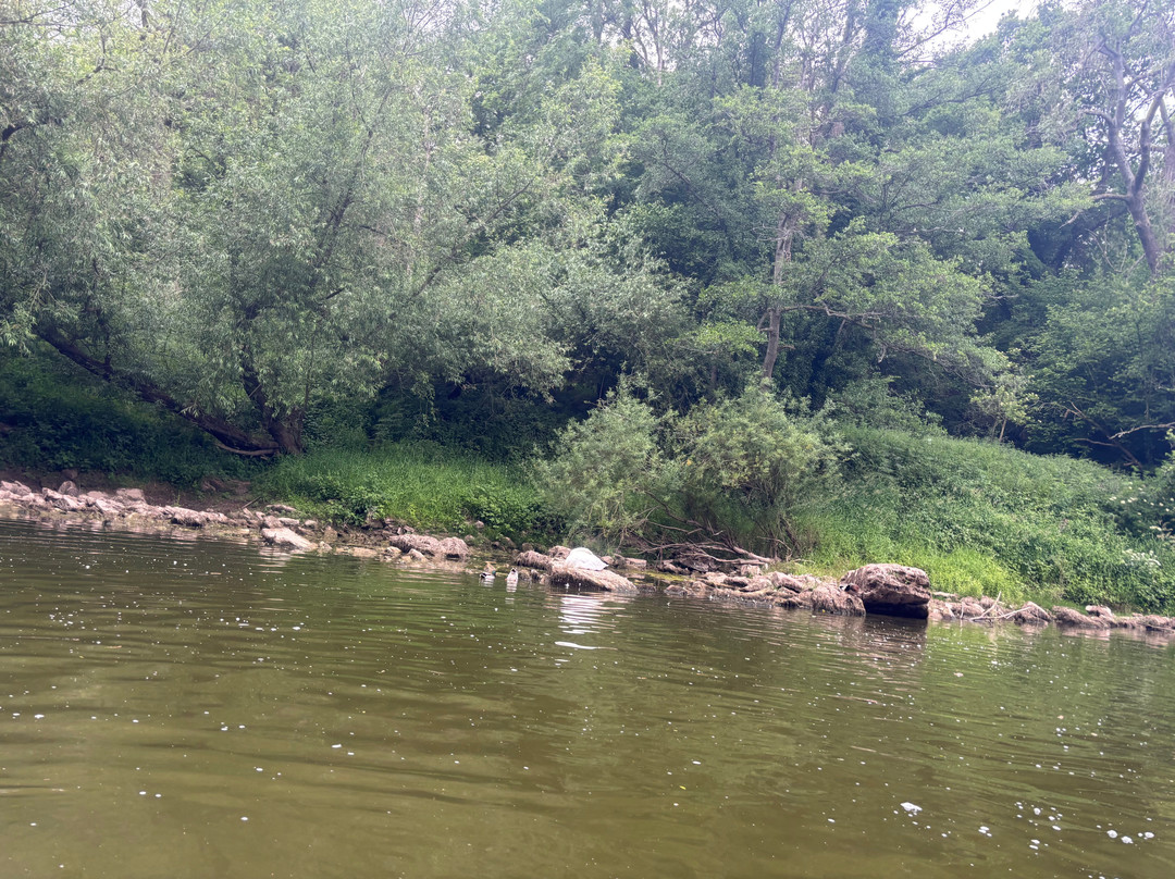 Wye Canoes Ltd景点图片