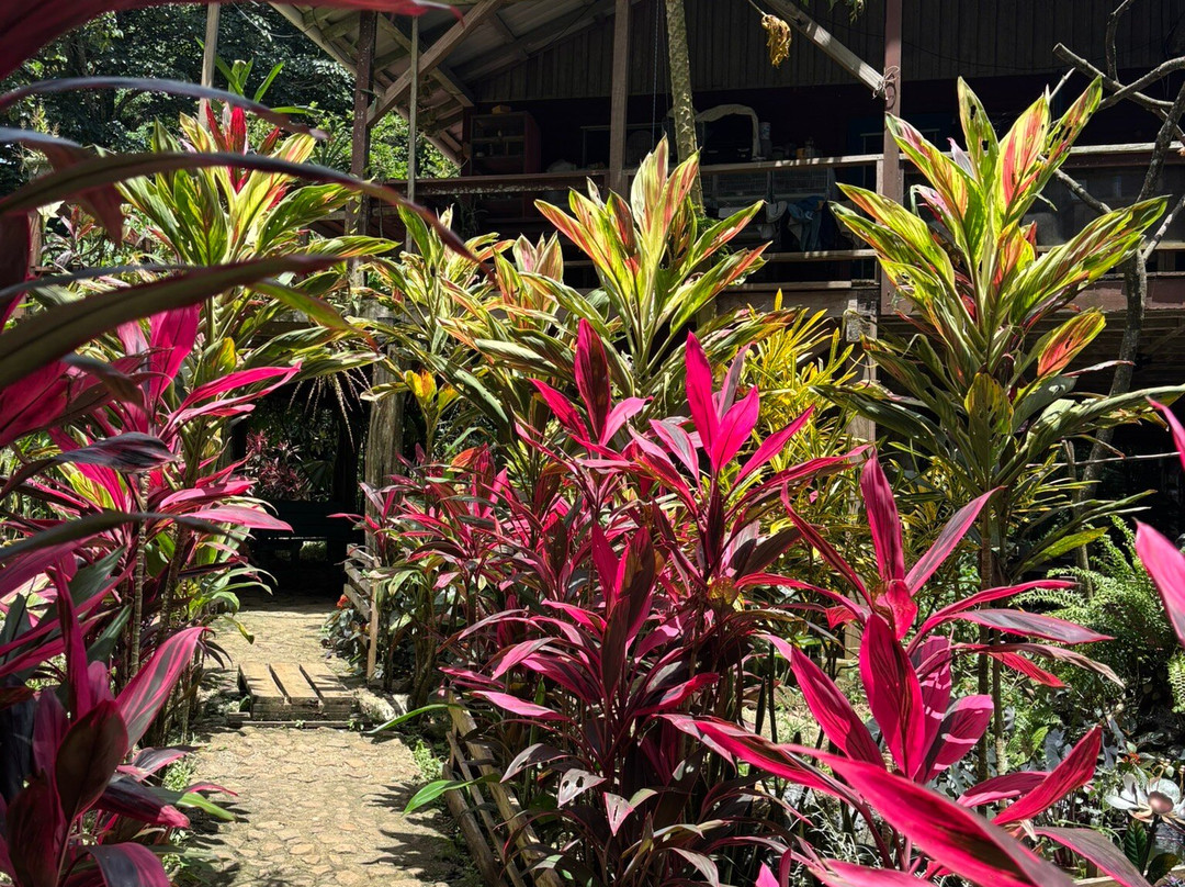 Green Acres Chocolate Farm and Nature Preserve景点图片