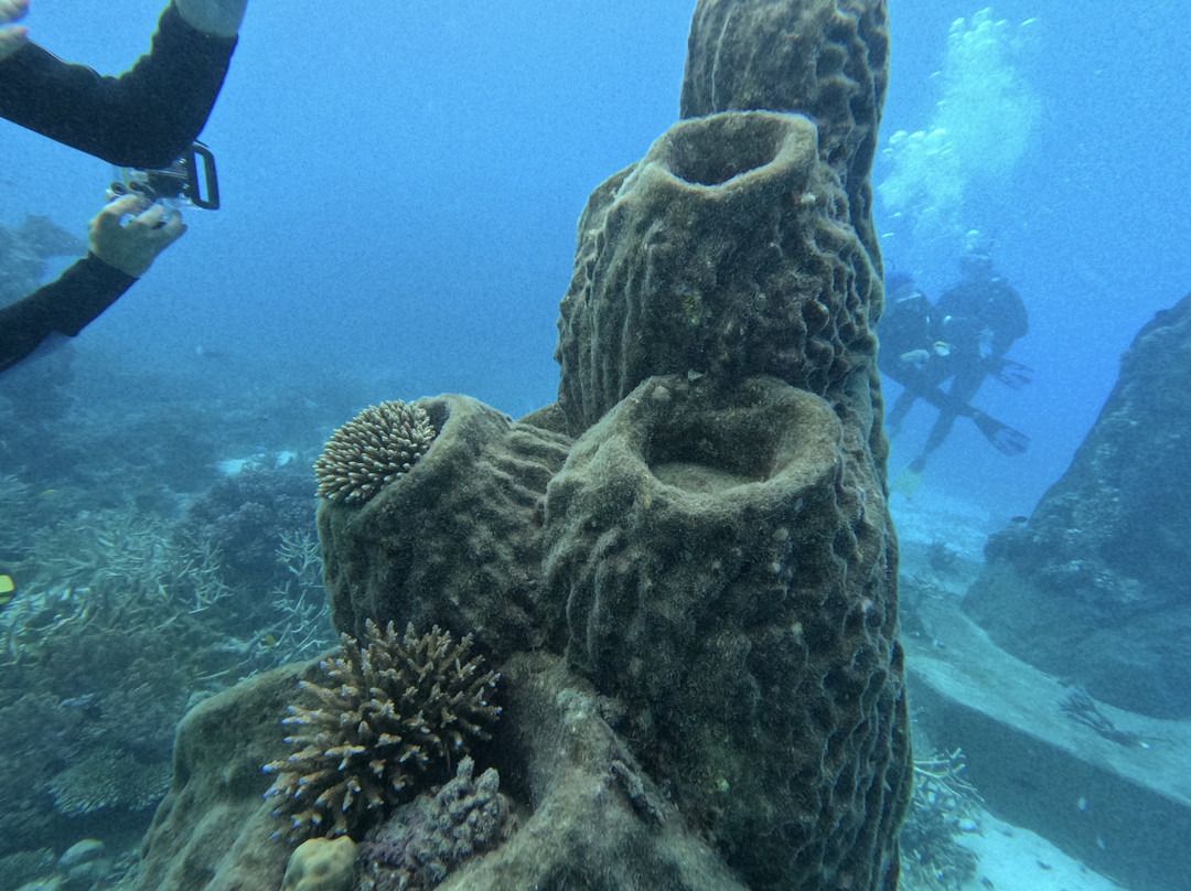 Museum of Underwater Art-North Ward必去景点
