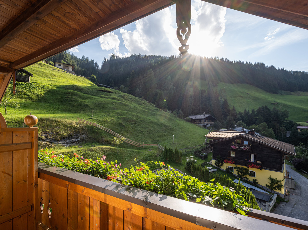 Naturhotel Huettenwirt主图